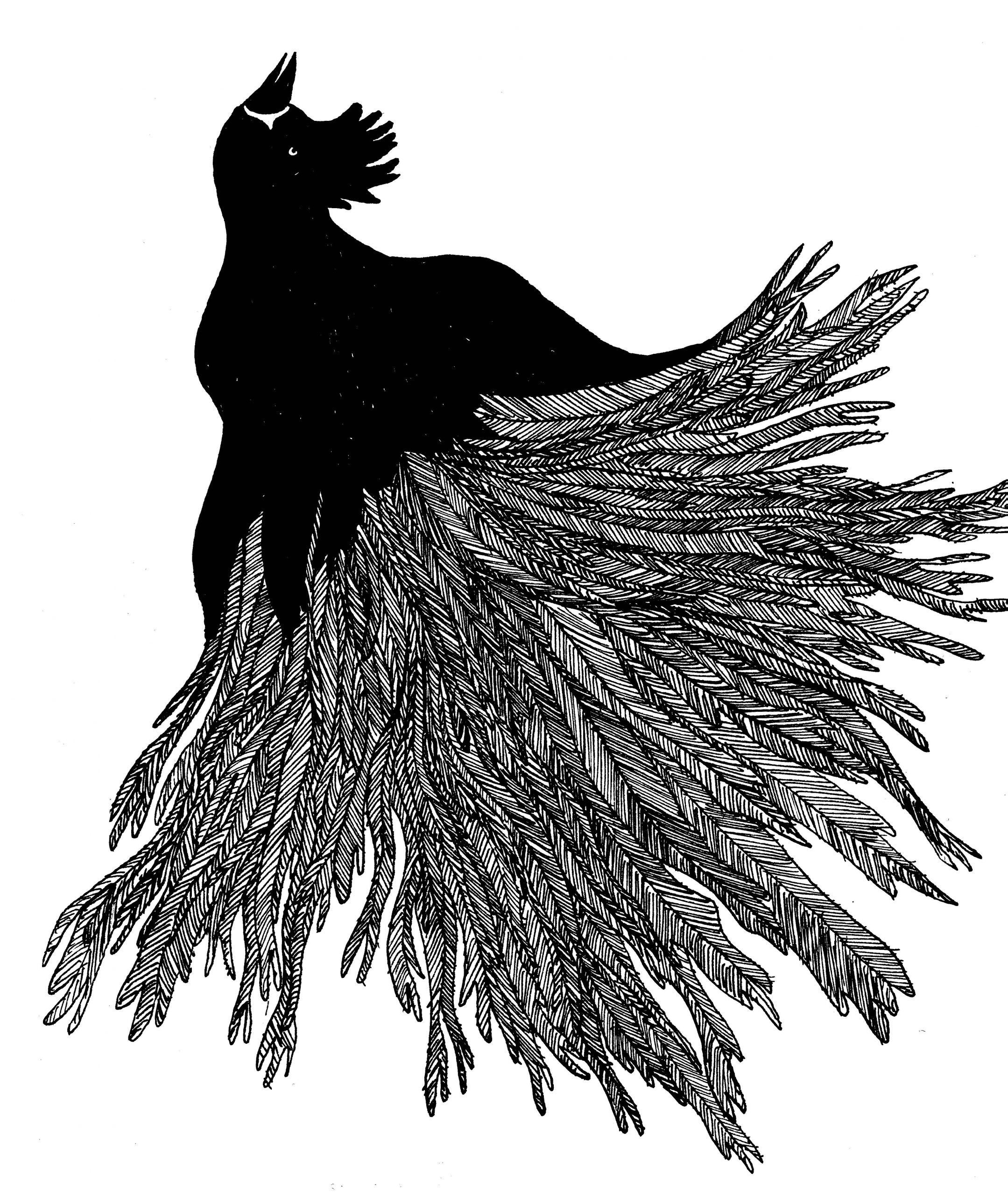 QU’EST-CE QUE LA CULTURE DE LA PAUVRETE ?