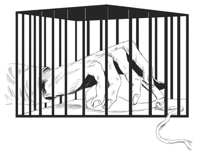 De samenzweringstheorie vogelverschrikker: een handig scherm