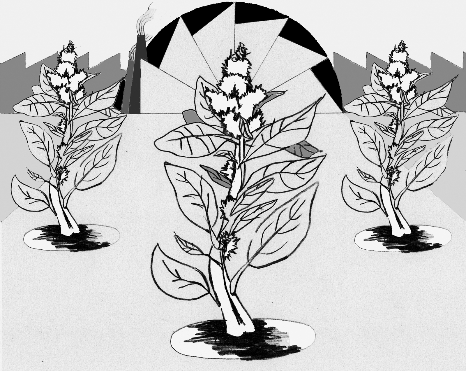 Non aux lois Monsanto!