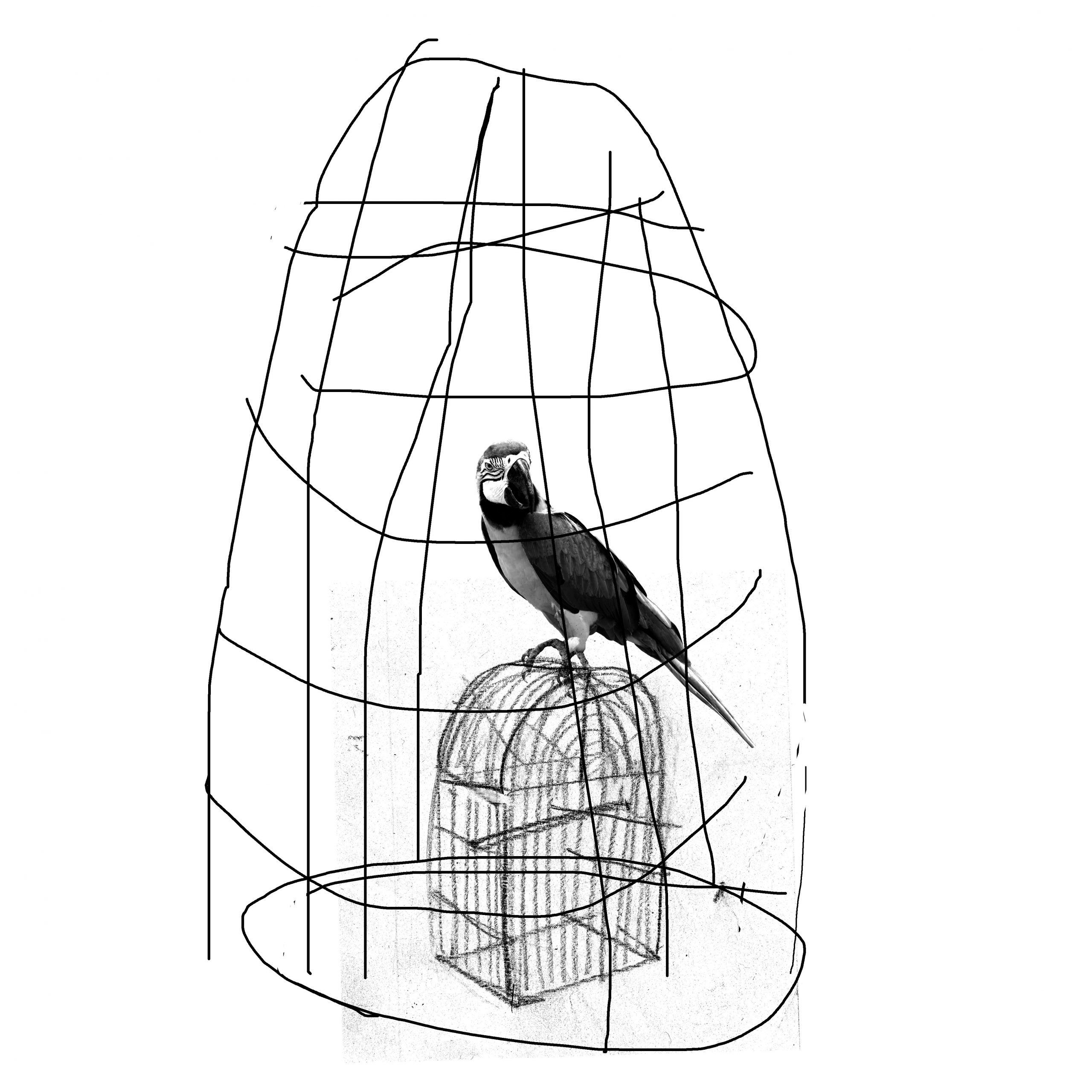 Guerres étrangères et domination occidentale: Silence radio, tout est clair.