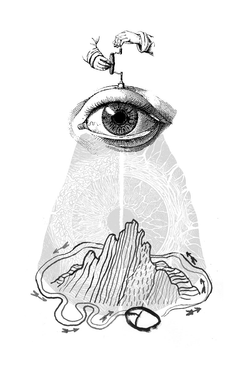 La guerre sans fin contre le terrorisme