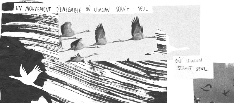 Le parler vrai de la pensée sauvage