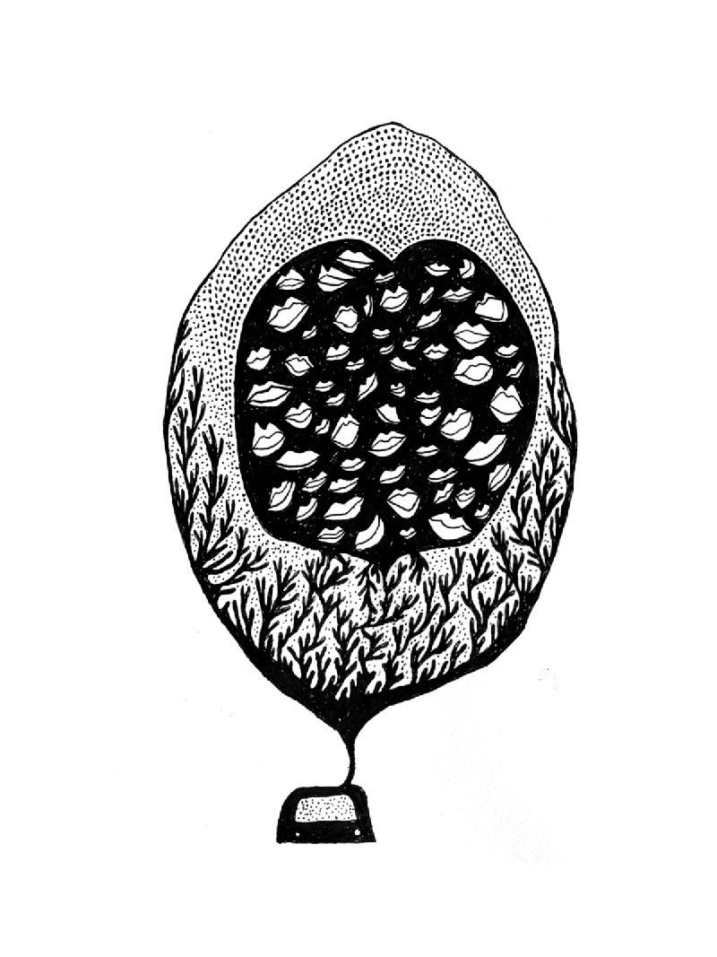 Quand la résistance s’empare des ondes