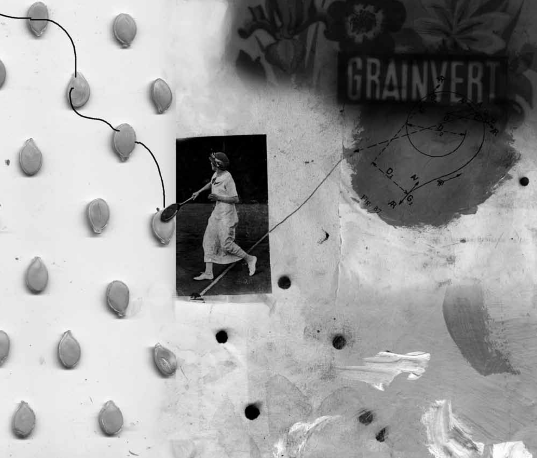 L&rsquo;alliance entre agroécologie et droit à l&rsquo;alimentation