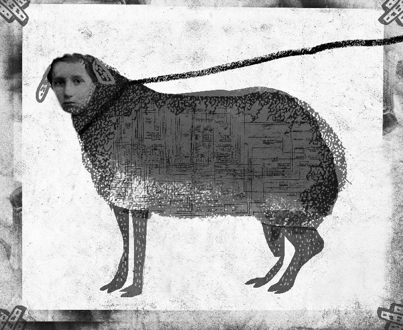 VILLES INTELLIGENTES … CITOYENS DOMESTIQUÉS