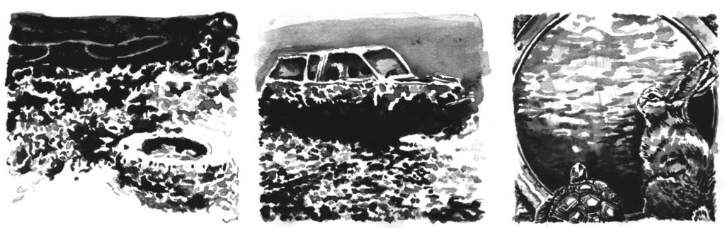 LES RICHES LIÈVRES ET LES PAUVRES TORTUES