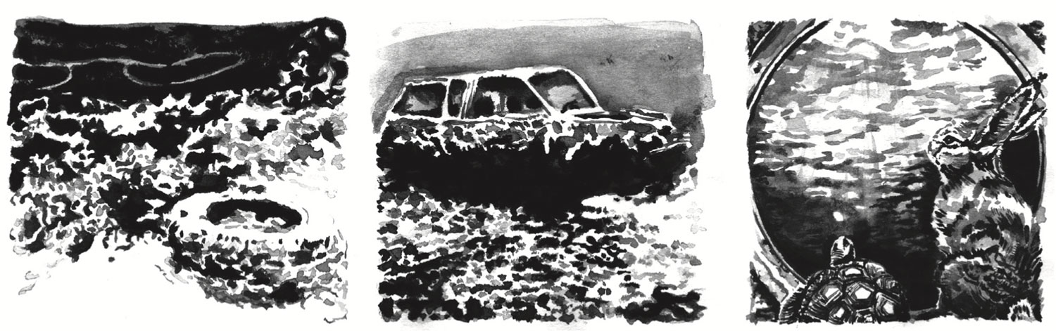 LES RICHES LIÈVRES ET LES PAUVRES TORTUES