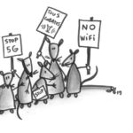 DES ONDES, DES RATS, ET DES HUMAINS...