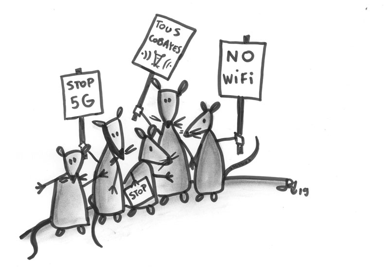 DES ONDES, DES RATS, ET DES HUMAINS…