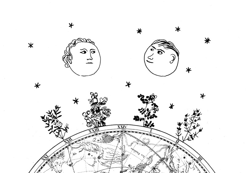 GOETHE ET STEINER, UNE SCIENCE EN DIALOGUE AVEC LA NATURE