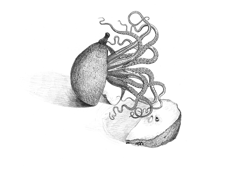 LA VIE DE L’EUROPE À LA LOUPE