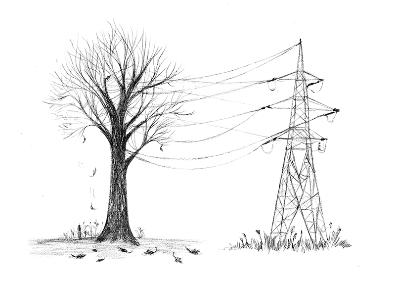 DÉCARBONER LE CLIMAT POUR RÉPONDRE AU DÉFI ÉCONOMIQUE