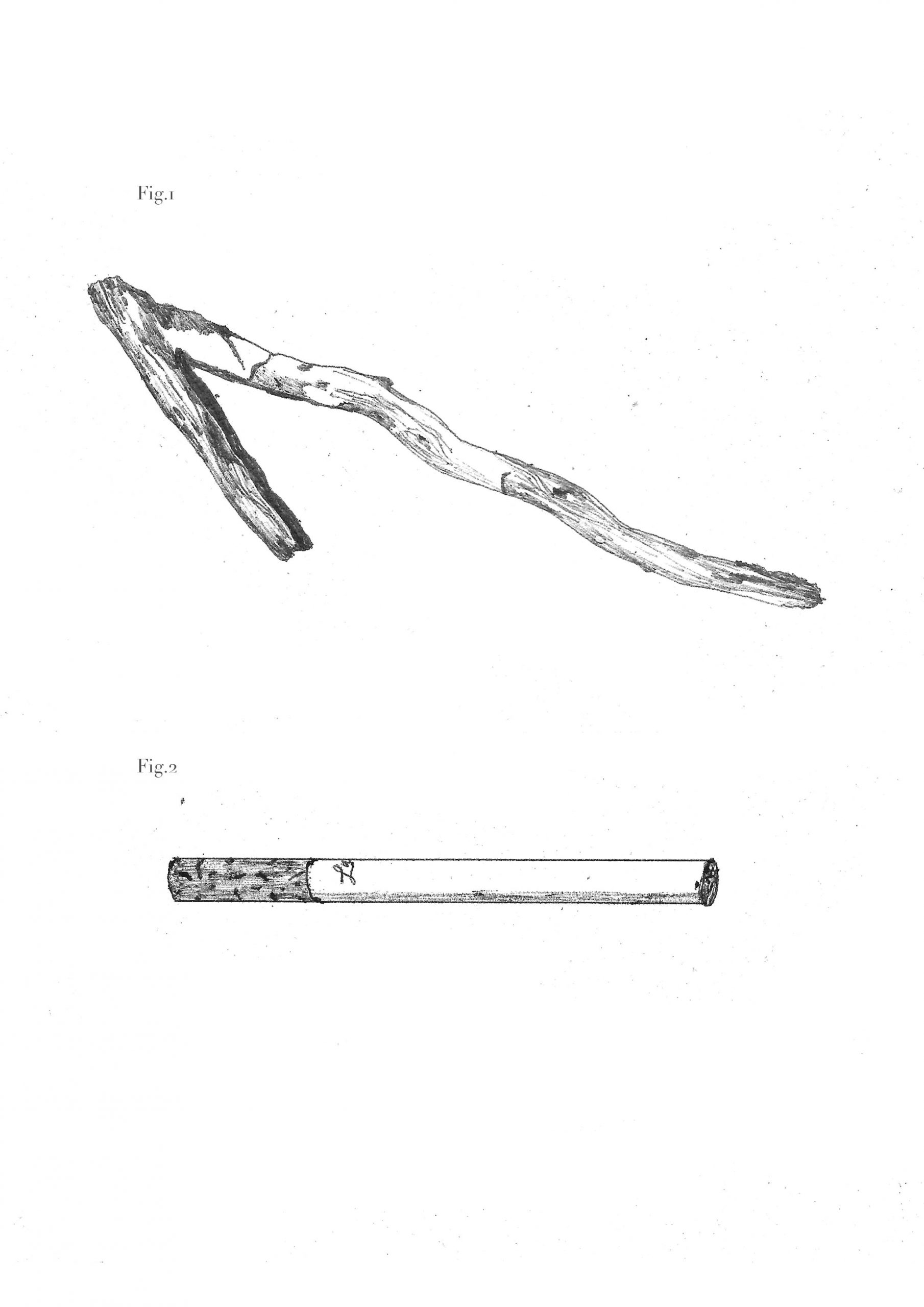 8 CATEGORIES AUTOUR DE LA CULTURE ET DES CLASSES BOURGEOISES ET POPULAIRES