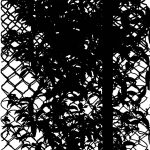 DES CHÈVRES À LA PRISON...