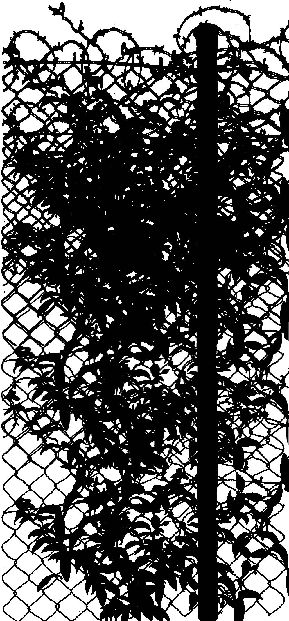 DES CHÈVRES À LA PRISON…