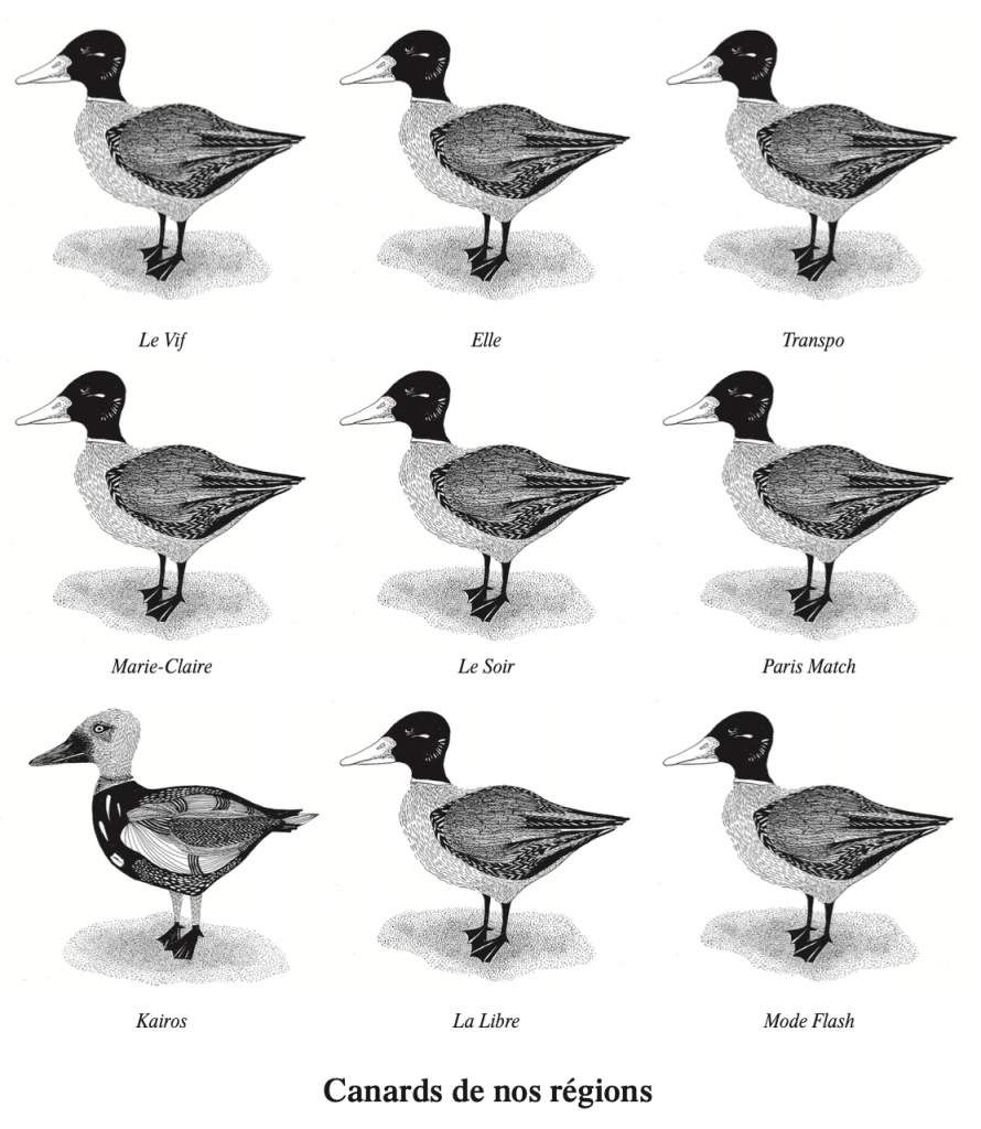 KAIROS N’EST PAS UN « JOURNAL »*