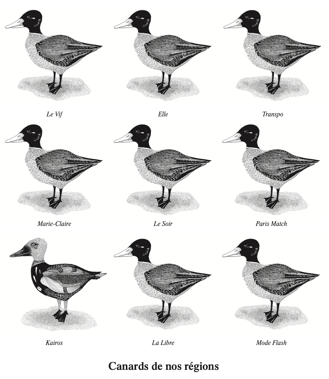 KAIROS N’EST PAS UN « JOURNAL »*