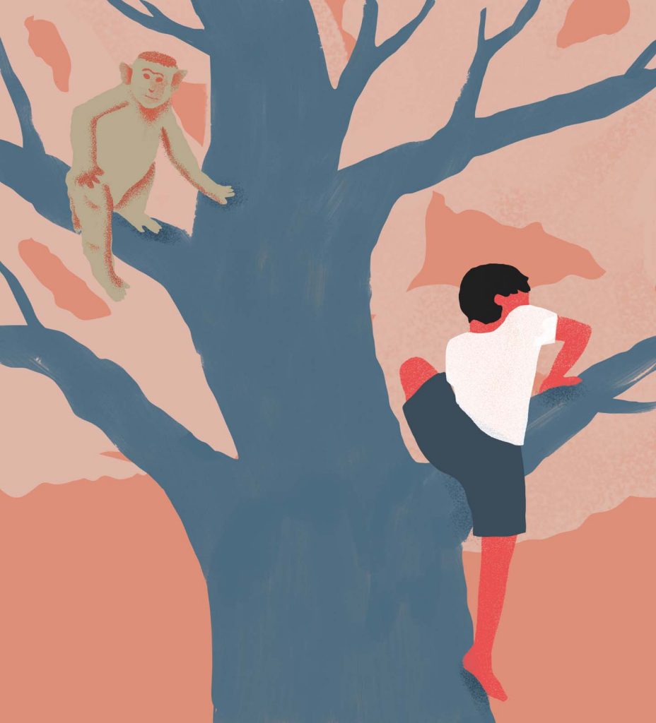 Le biomimétisme au secours du monde ?