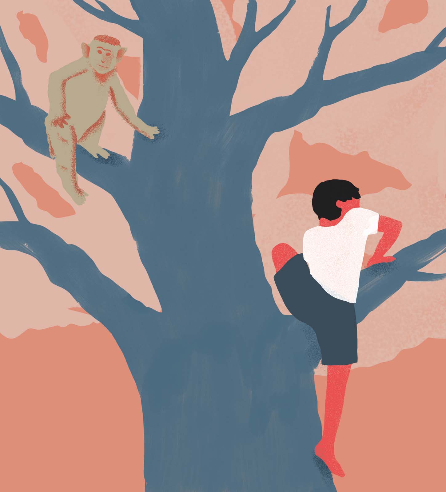 Le biomimétisme au secours du monde ?