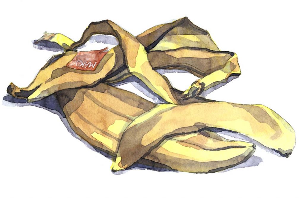 LE DÉCHET N&rsquo;EXISTE PAS ! RAPPROCHER L&rsquo;HOMME DES PROCESSUS NATURELS POUR UNE GESTION RATIONNELLE DES RESSOURCES