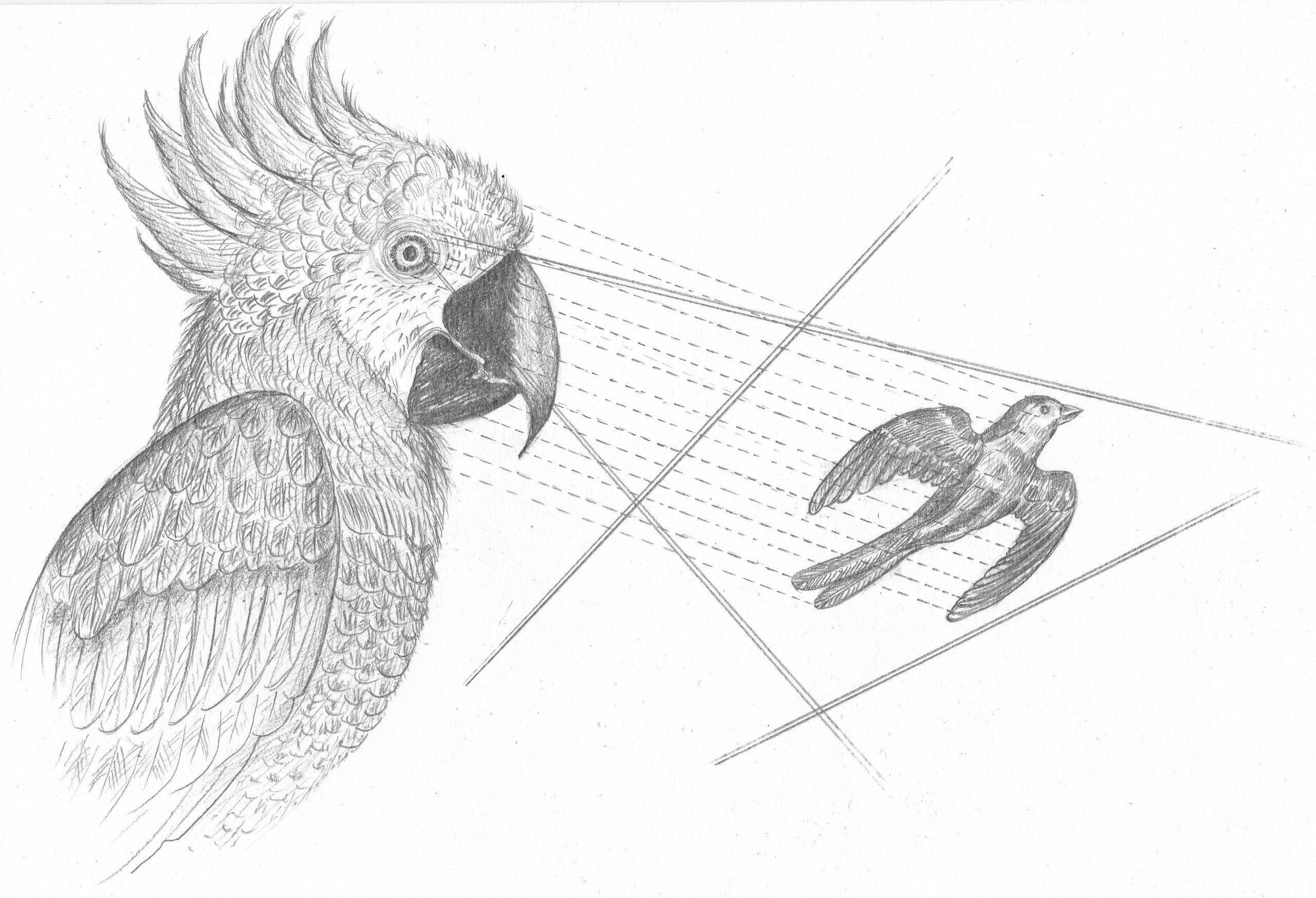 DISTINGUER VÉRITÉ FACTUELLE ET INTÉRÊTS