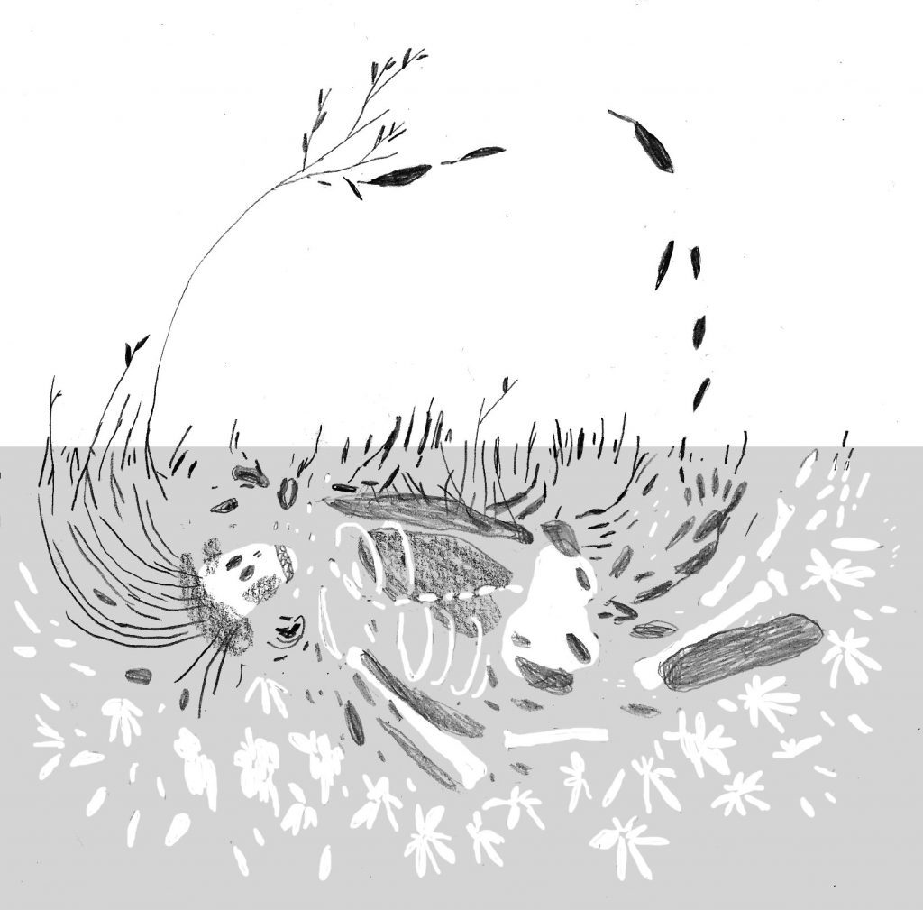 L&rsquo;HUMUS SAPIENS : LA BOUCLE EST (RE)CYCLÉE