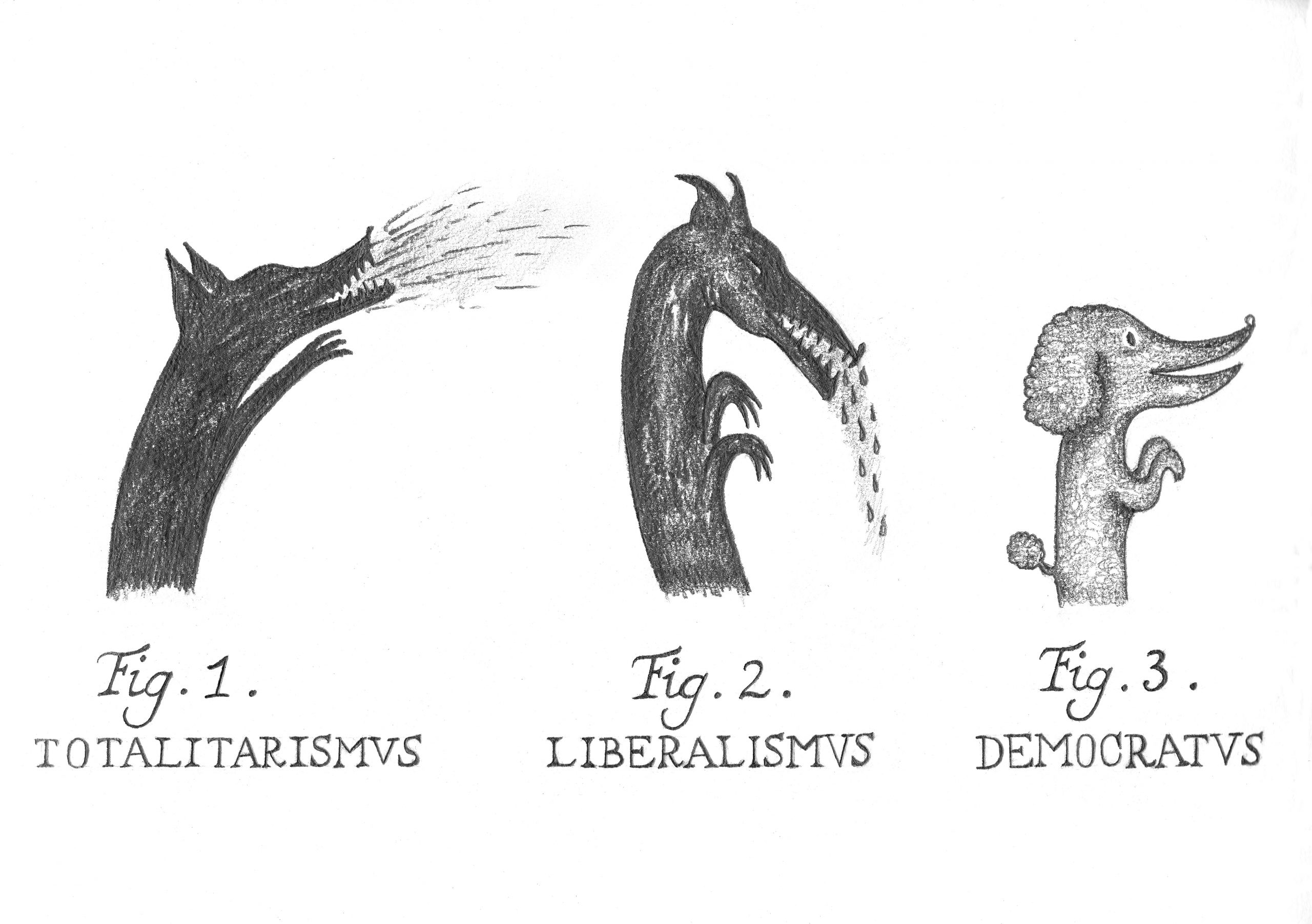 L’ÉVOLUTION « POLITIQUE » EN OCCIDENT