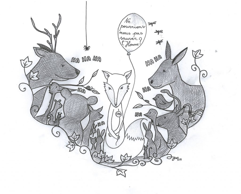 BON, ON FAIT QUOI, LÀ ?