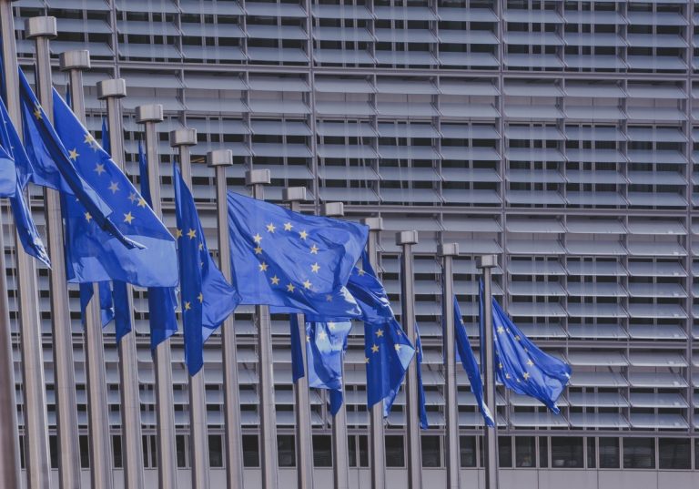 Wat te onthouden van het interview met Europees parlementslid Michèle Rivasi