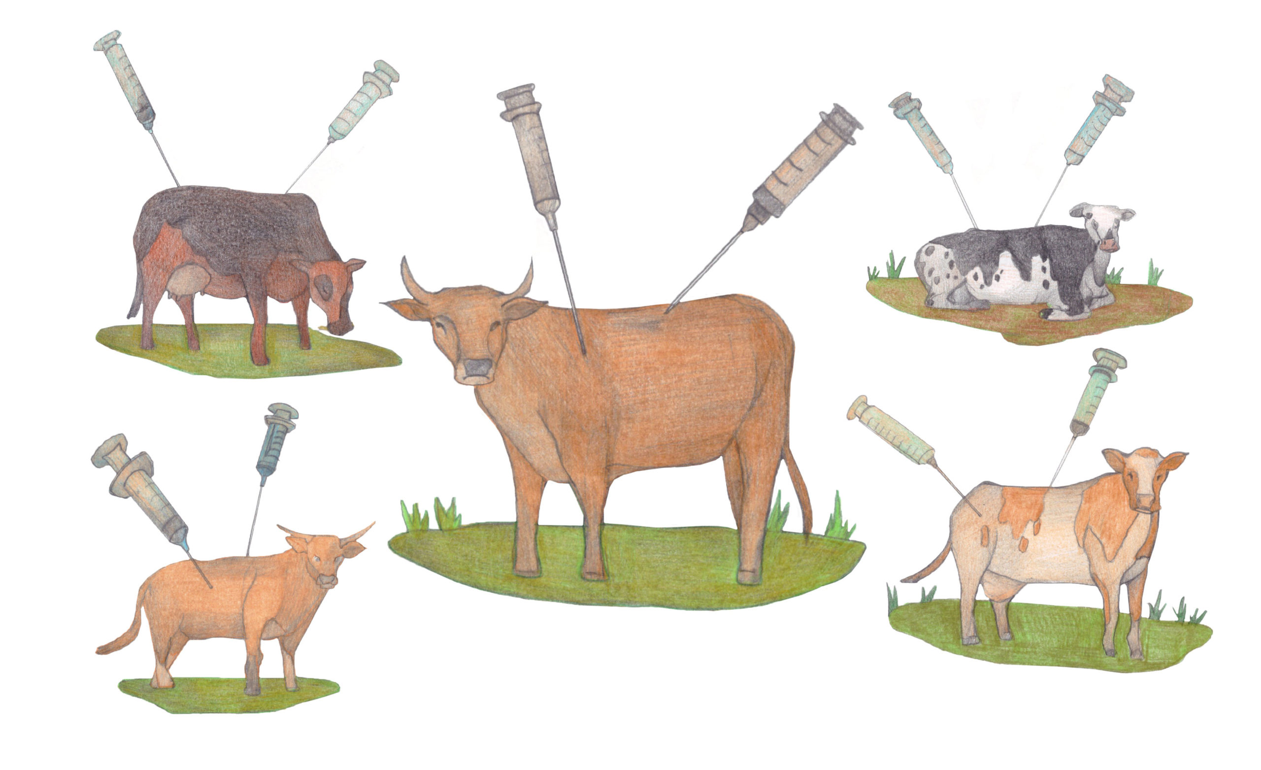 Comme vache qui pisse