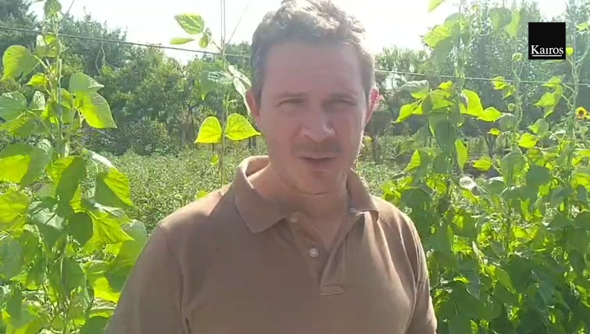 Screenshot 2021-07-29 at 11-39-59 Alex Slovak after decroo comité press mp4