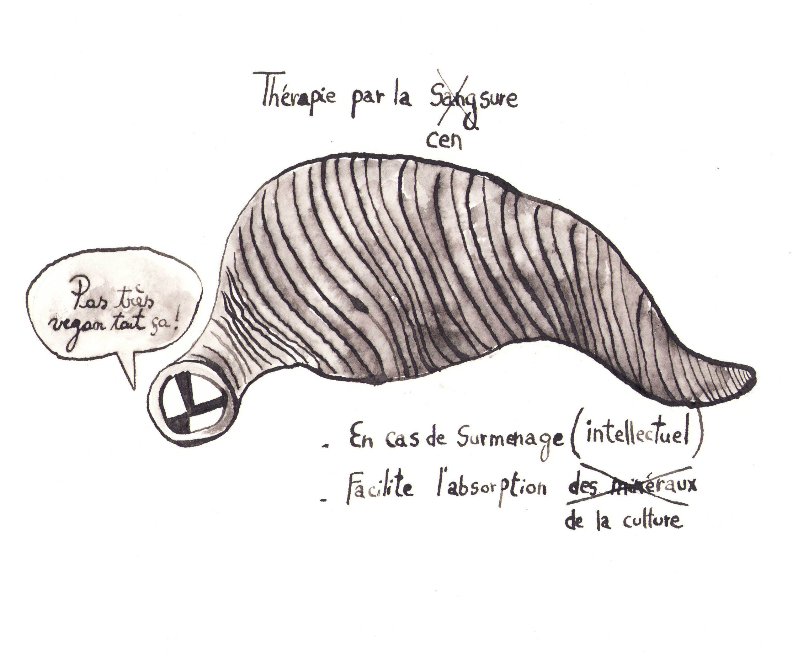 Cancel culture et politiquement correct : la cabale des nouveaux dévots