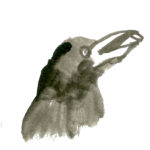 Censure, covidisme et nazisme