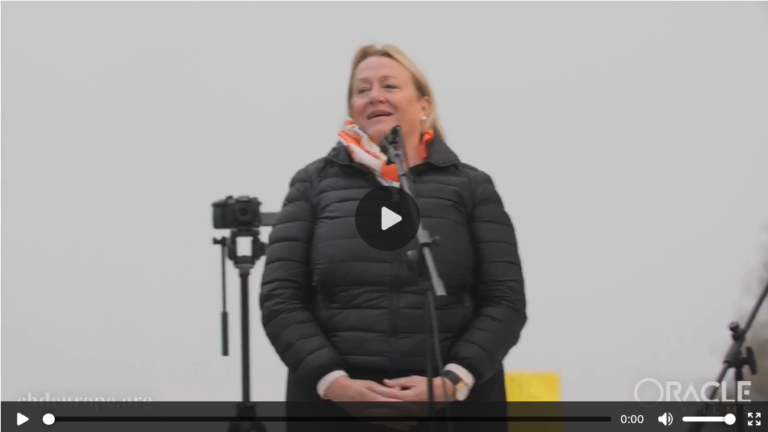 Discours de Catherine Austin Fitts, Manifestation du 13 Novembre à Milan