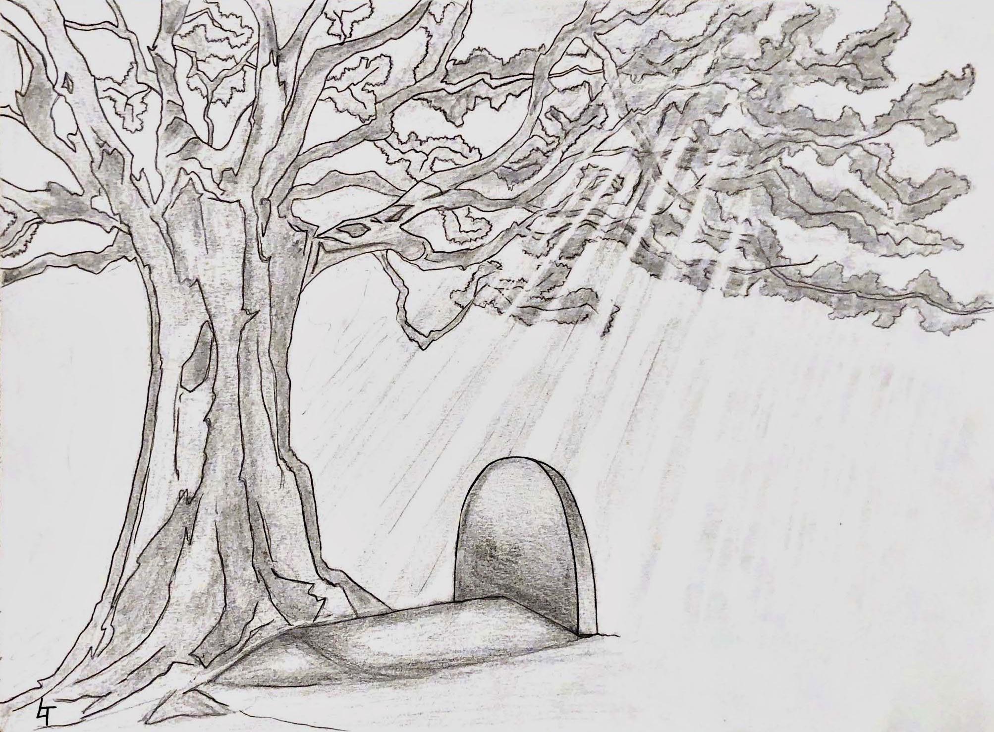 Humusation: les ravages d&rsquo;une étude