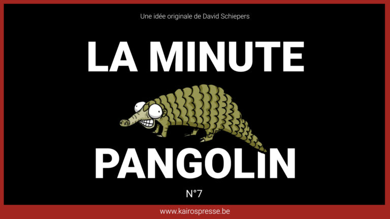 La minute Pangolin n°7