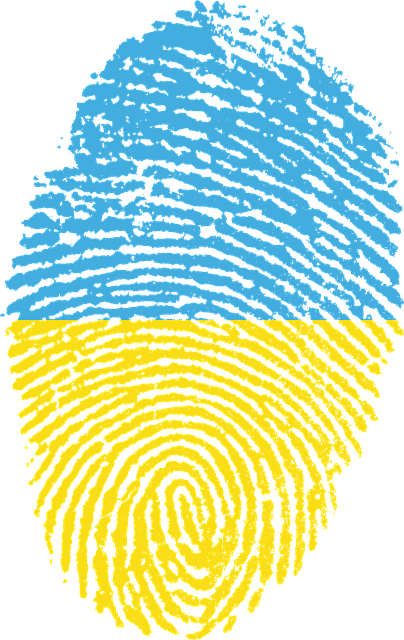 ukraine-g4c6cfcdc1_640