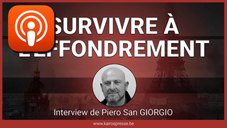Survivre à l&rsquo;effondrement