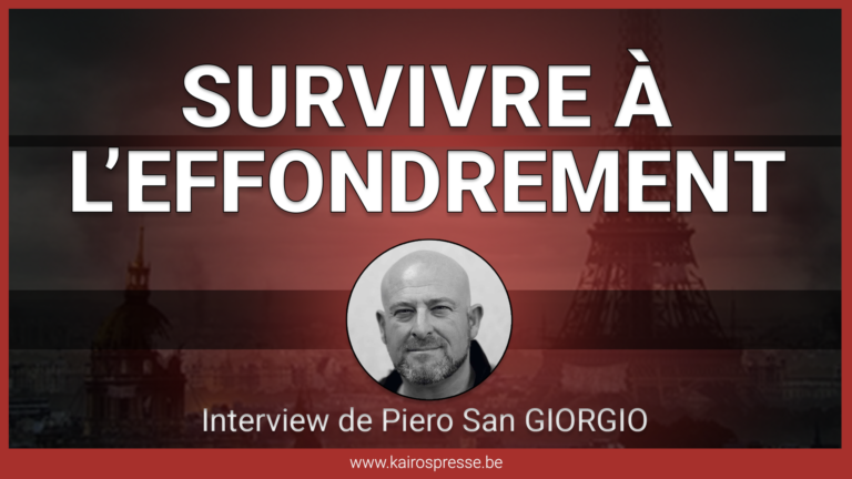 SURVIVRE À L&rsquo;EFFONDREMENT