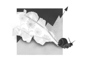 Décroissance : un vingtième anniversaire en nuances