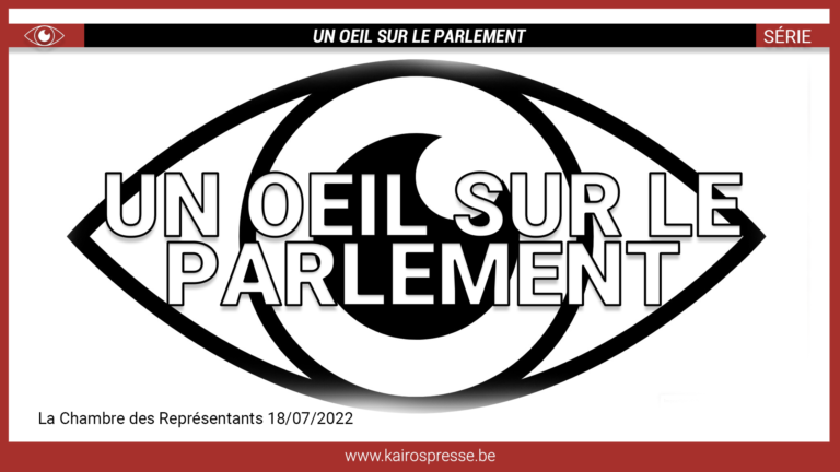 SÉRIE: Un Œil Sur Le Parlement