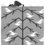 Nature et spiritualité : Et si on écoutait les Indiens ?