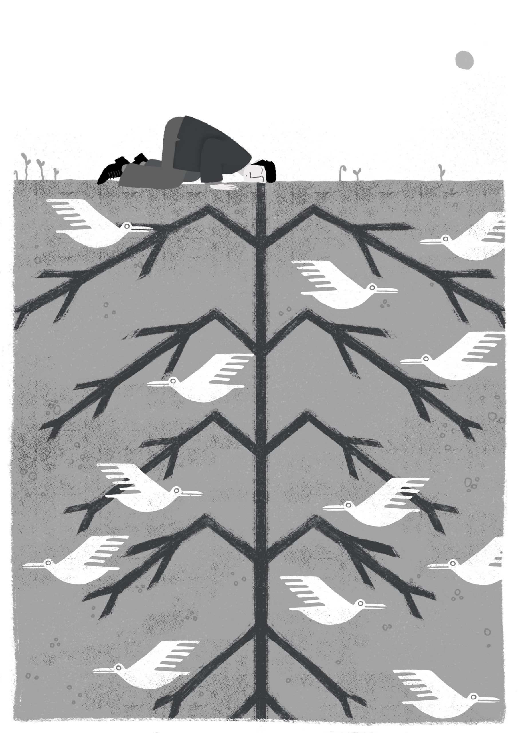 Nature et spiritualité : Et si on écoutait les Indiens ?