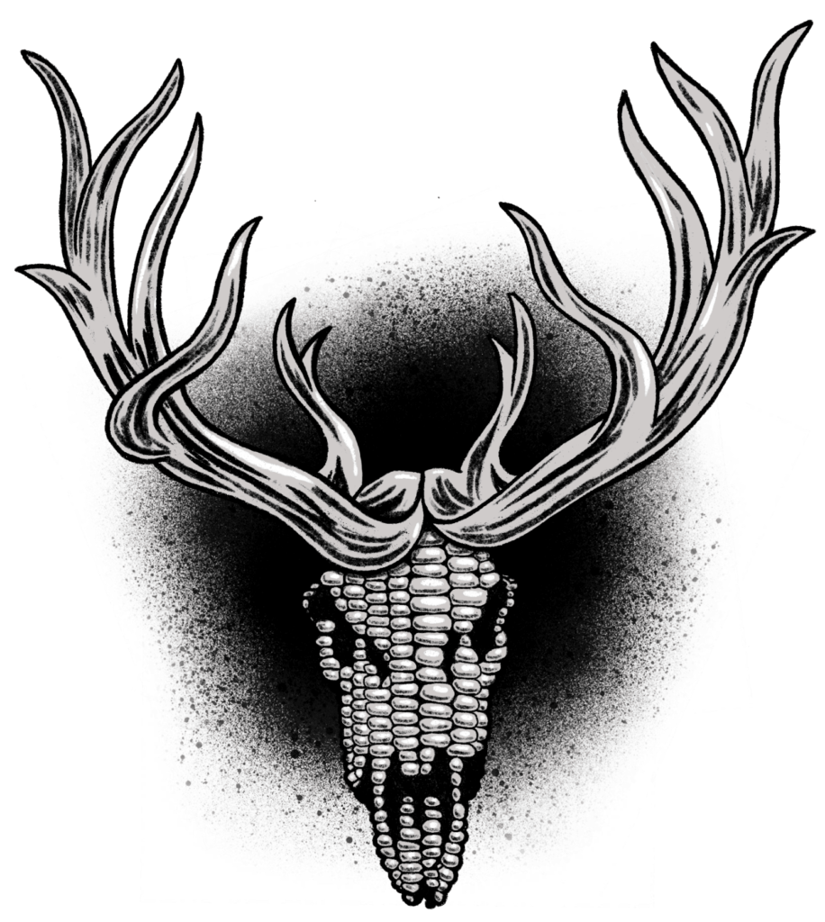 Mexico Solo, des rayons et des ombres