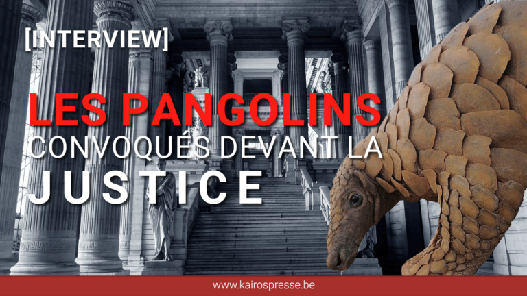 [INTERVIEW] Les pangolins devant la justice